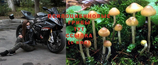 jwh Баксан