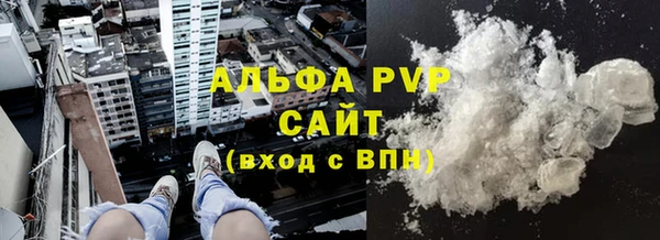 PSILOCYBIN Аркадак