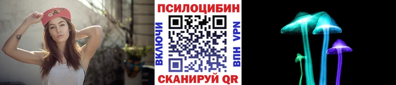 Псилоцибиновые грибы Magic Shrooms  darknet клад  Белово  наркота 